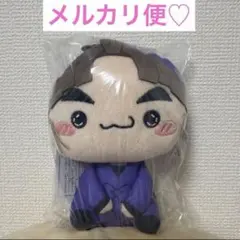 忍たま乱太郎 ドクタケ忍者隊最強の軍師 もちぴこ ぬいぐるみ 竹谷八左ヱ門