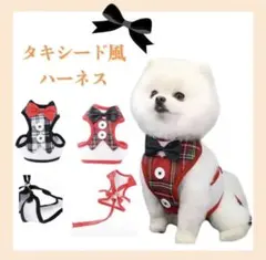 新品⭐︎小型犬　リード　ハーネス　タキシード風