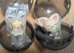 SKZOO ガチャ アイエン 2つセット