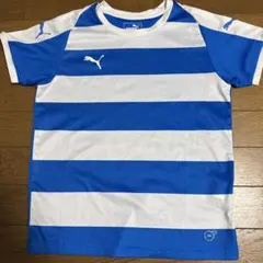PUMA 半袖シャツ 青と白 ストライプ 140
