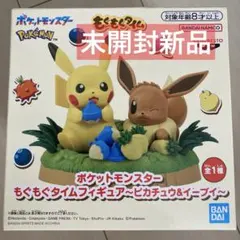 【未開封】ポケットモンスター もぐもぐタイム フィギュア ピカチュウ＆イーブイのサムネイル