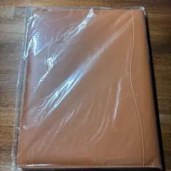 Item thumbnail for item 4ceb78f5-5ca1-4a32-85e2-e45200f73d8b