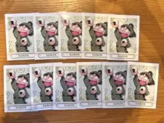 忍たま乱太郎　ぱしゃこれ　左門×11枚