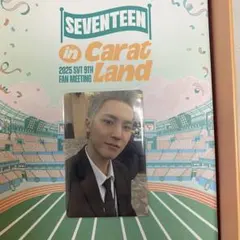 即購入可能！！　seventeen carat land2025 ミンギュ