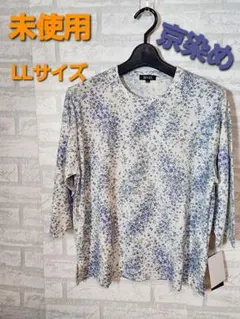 Item thumbnail for item 158c8e9d-77d1-4d12-bc2f-489999f50b05