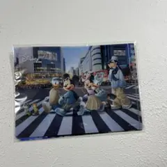 ディズニー　ミッキーマウス　クリアファイル　2枚セット