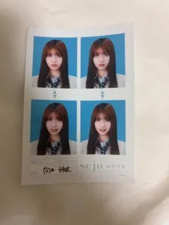 せじゅです。ラッフルくじ 証明写真 向井怜衣 - メルカリ