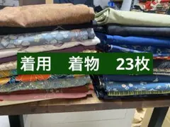 Item thumbnail for item 3f64690a-d23e-42b9-8e03-3a91a9e7ae0d