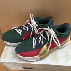 NIKE ズームフリーク5 クリスマスカラー 25.5 NIKE ズームフリーク5 クリスマスカラー 25.5 - メルカリ