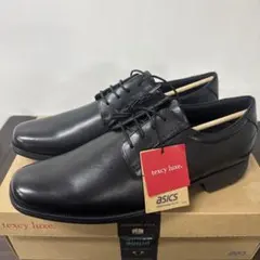 テクシーリュクス 25