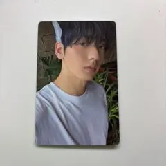 TXT 公式 SANCTUARY ANGEL トレカ スビン