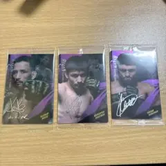 RIZINウエハース クレベルコイケ カルシャガダウトベック ヴガールケラモフ