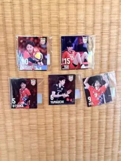 バレーボール男子日本代表