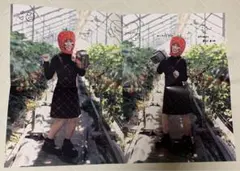 日向坂46 東村芽依 1st写真集『見つけた』SHOWROOM限定ポスター