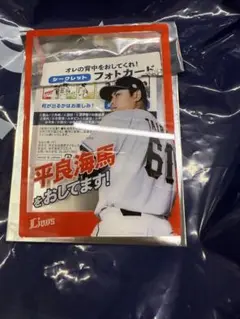 西武ライオンズ 平良海馬 オレの背中をおしてくれ！シークレットフォトカード