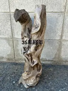 一点物 流木×アイアン アートオブジェ キャンドルスタンド - メルカリ