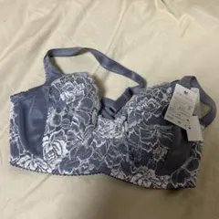 Wacoal FRESHES ブラジャー B85のサムネイル