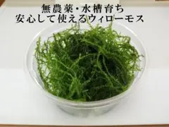 ジェリーとネズミ男と M.マウス様 リクエスト 2点 まとめ商品