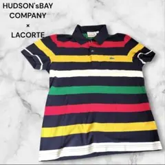 【希少美品】ハドソンズベイxラコステ　コラボ商品　マルチカラー　ボーダー　M