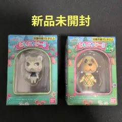 ともだちどーる　ジュン　キャラメル