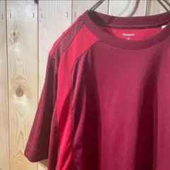 AE5999 Reebok 半袖Tシャツ レッド メンズ XL ポス