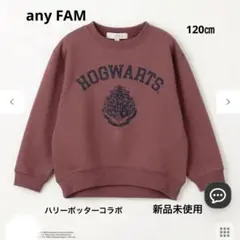 【新品】any Fam ハリーポッターコラボトレーナー