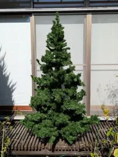 Item thumbnail for item 05704546-3f08-4af6-8e3e-11ef328a3580