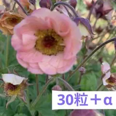 黒田千晴様 リクエスト 3点 まとめ商品