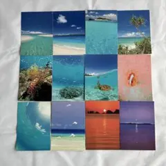 Item thumbnail for item 1cff1184-17dd-4bbf-ac86-f2b5dedff980