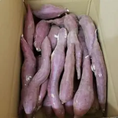 サツマイモ 茨城県産 紅あずま 箱含む5キロ