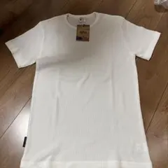 Ｔシャツのサムネイル