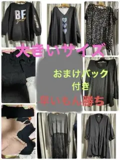 大きいサイズ　3Lから4L 美品　未使用多数