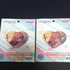 プロジェクトセカイ カラフルステージ！ メイコ キラキラビッグハート型 缶バッジ