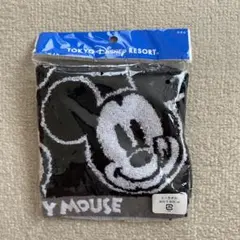 Tokyo Disney Resort ミッキー ミニタオル