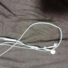 【Apple】 EarPods USB-C 有線イヤホン 本体のサムネイル