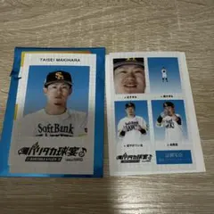 牧原大成 応援グッズ