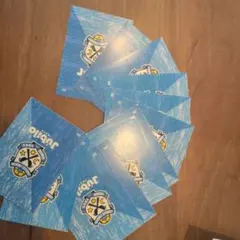 ジュビロ磐田 来場カード 1〜11、14 ✱12 13 14は無し