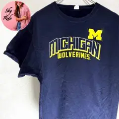 美品 Hanes MICHIGAN XL ヴィンテージ カレッジ Tシャツ 紺色