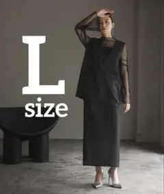 チュールレイヤードトップス・タイトスカート セットアップ