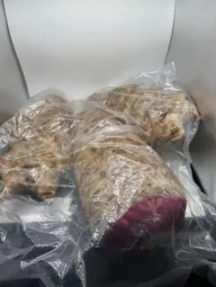 モンスターハンターライズ　尻尾クッション