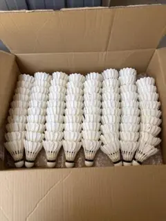 バドミントンシャトル (基礎打ち用)260球 - メルカリ