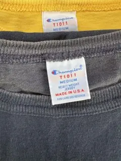 т*э様 チャンピオンT1011 Tシャツ サイズM 2枚セット