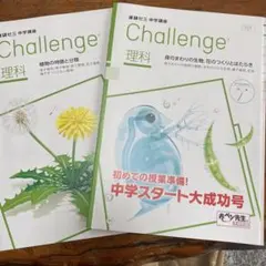 LION ☆MARU様 リクエスト 2点 まとめ商品