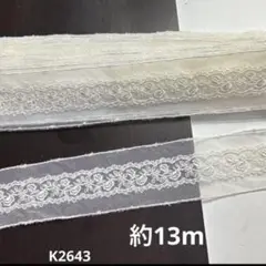 デザインレースやく13m
