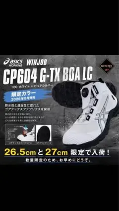 2026年最新】CP604 g-tx boaの人気アイテム - メルカリ