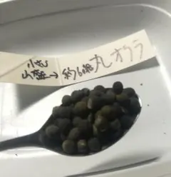 MR_2000様 リクエスト 2点 まとめ商品