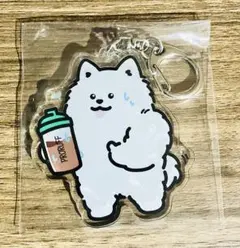 マッスルサモエドのアクリルキーホルダー