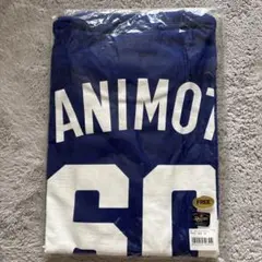 中日ドラゴンズ　谷本