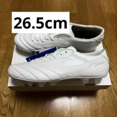 2025年最新】モレリアulの人気アイテム - メルカリ