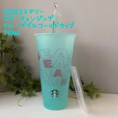 2025ミステリーカラーチェンジングリユーザブルコールドカップ